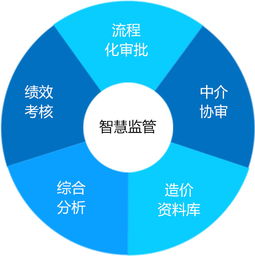 建設工程項目管理與投資管理系統(tǒng) 龍騰暢想在政府投資領域的領跑實踐
