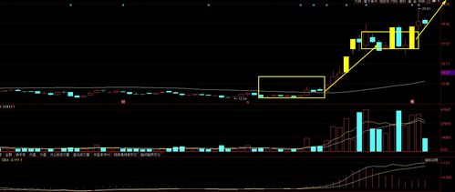 A股大尋寶 四只具備“飛天”潛力、散戶忽略卻獲資金悄然關(guān)注的標(biāo)的